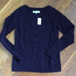 Loft Cable Knit Sweater
